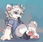  anthro blue_eyes canid canine canis claws clothing cub feet foot_fetish fur grey_hair grin hair hi_res hoodie legwear looking_at_viewer male mammal pawpads plaster shorts sitting smile sock_in_mouth socks solo toeless_socks wolf young zeetar 