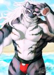  anthro beach clothed clothing felid hair indy_newton2305 male mammal pang pantherine paws sdorica_sunset seaside solo swimming_trunks swimsuit tiger topless 