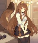  1girl absurdres animal_ears blush breasts brown_hair cubies_(tiger_205) highres long_hair looking_at_viewer medium_breasts open_mouth raccoon_ears raccoon_girl raccoon_tail raphtalia red_eyes skirt smile solo tail tate_no_yuusha_no_nariagari thighhighs very_long_hair 