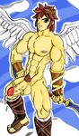  kid_icarus pit tagme 