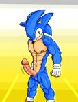  sonic_team sonic_the_hedgehog tagme 