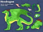  absurd_res aku_(artist) blue_eyes dragon feral hexagons hexdragon_(character) hi_res model_sheet wings 