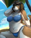  anthro beach black_hair bon_bon_(ocaritna) breasts brown_fur canid canine canis clothing domestic_dog female fur green_eyes hair mammal multicolored_fur navel ocaritna outside seaside sitting slightly_chubby smile solo swimsuit thick_thighs two_tone_fur water white_fur wide_hips 