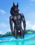  anthro bulge canid canine canis clothing elvofirida hair hi_res jackal male mammal muscular muscular_male navel outside partially_submerged solo speedo standing swimsuit 