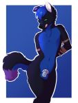  anthro balls black_nose blue_balls blue_hair canid canine chastity chastity_cage fur hair heterochromia hi_res looking_at_viewer male mammal multicolored_tail nude opium5 penis solo standing tapik tongue tongue_out 