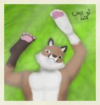  anthro canid canine foot_focus foot_hands fox hi_res lloyd-bullion lying male mammal pawpads plantigrade solo taylor what why 