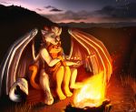  campfire canid canine canis domestic_cat dragon duo felid feline felis hi_res hybrid mammal marshmallow night tatujapa wolf 