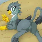  2019 anus avian butt digital_media_(artwork) eyelashes female feral friendship_is_magic gabby_(mlp) gryphon hi_res hindpaw looking_at_viewer lying my_little_pony on_front one_eye_closed patreon pawpads paws pearlyiridescence pussy solo tongue tongue_out url v_sign wings wink 