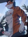  anthro balls clothed clothing erection felid fur hair hi_res humanoid_penis male mammal muscular muscular_male nipples open_mouth pantherine pants_down partially_clothed penis precum pubes smile solo soraa standing tiger topless uncut vein 