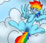  animal_genitalia blush clitoris equid equine female friendship_is_magic mammal my_little_pony pterippus pussy rainbow_dash_(mlp) solo spottyfreak 