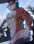  anthro bulge clothed clothing felid fur hair hi_res male mammal muscular muscular_male nipples open_mouth pantherine pants_down partially_clothed smile solo soraa standing tiger topless underwear 