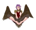  altavy_(altavy) animal_humanoid avian avian_humanoid barefoot bird bunny_and_fox_world clothed clothing falcon falcon_humanoid feathers female hair humanoid pointy_ears purple_hair solo unknown_artist wings yellow_eyes 