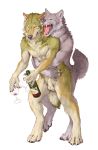  2015 4_toes 5_fingers alcohol animal_genitalia anthro balls beverage canid canine canis claws duo fangs fully_sheathed fur grey_fur hi_res holding_cup hug hugging_from_behind male male/male mammal nude open_mouth orange_eyes pecs sekki sheath simple_background teeth toes tongue wine wine_bottle wine_glass wolf yellow_eyes 