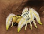  2013 2_toes 8_legs abdomen ambiguous_gender arachnid arthropod beady_eyes black_exoskeleton black_eyes camel_spider cave chelicerae claws digital_drawing_(artwork) digital_media_(artwork) exoskeleton feral fluffy full-length_portrait fur looking_up multi_leg multi_limb multicolored_exoskeleton pedipalps pincers portrait ramul rock scissor_chelicerae solo standing tan_exoskeleton toe_claws toes two_tone_exoskeleton white_abdomen white_fur 