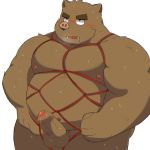  2019 anthro balls bdsm belly bhtoss blush bondage bound brown_fur cum erection fur humanoid_hands humanoid_penis male mammal moobs navel nipples overweight overweight_male penis rope simple_background solo suid suina sus_(pig) sweat white_background wild_boar 