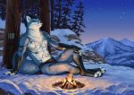  2019 anisis anthro canid canine detailed_background digital_media_(artwork) digitigrade fire fox male mammal outside sitting sky solo star starry_sky twilight 