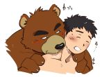  2019 anthro black_nose blush brown_fur claws duo eyes_closed fur hiroyuki_(morenatsu) human human_on_anthro interspecies japanese_text juuichi_mikazuki male male/male mammal morenatsu shirako simple_background text ursid white_background 