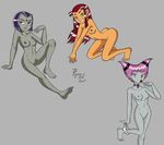  dc dcau jinx poland raven starfire teen_titans 