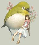  1girl animal bare_legs bird brown_eyes brown_hair chair cherry_blossoms closed_mouth expressionless eyebrows grey_background hands_together highres long_sleeves looking_away original oversized_animal sandals short_hair simple_background sitting solo yoshida_seiji 