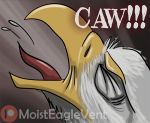  avian bird eagle invalid_tag moisteaglevent orgasm 