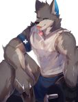  2019 anthro biceps candy canid canine canis clothed clothing cup digital_media_(artwork) dumbbell exercise food fur hi_res kemono male mammal muscular muscular_male nekojita scar shirt solo tank_top weightlifting weights wolf workout 