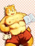  2014 anthro belly blush bulge canid canine canis clothing domestic_dog japanese_text male mammal moobs nipples overweight overweight_male shimm shorts solo text 