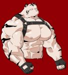  2019 5_fingers abs anthro biceps clothed clothing digital_media_(artwork) felid fur hi_res kemono male mammal muscular muscular_male nipples open_shirt pantherine pecs simple_background solo syukapong tiger 