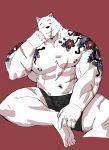  2019 5_fingers abs anthro biceps canid canine clothing digital_media_(artwork) fur hi_res kemono male mammal muscular muscular_male nipples pecs scar simple_background solo syukapong tattoo 