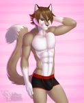  abs anthro briefs bulge clothed clothing dipstick_tail domestic_cat felid feline felis fur hair hi_res looking_at_viewer male mammal multicolored_tail smile solo standing topless underwear vallhund 