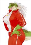  bebebebebe big_breasts breasts clothed clothing dragon female fully_clothed hair lizard reptile scalie white_hair 