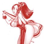  1girl breasts cleavage king_of_fighters large_breasts long_hair ponytail shiranui_mai snk tagme 