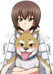  1girl =3 animal bangs blush casual commentary dog eyebrows_visible_through_hair eyes_closed frown girls_und_panzer highres holding holding_animal holding_dog long_sleeves looking_at_viewer motion_lines nishizumi_maho omachi_(slabco) shiba_inu shirt short_hair simple_background smug solo striped striped_shirt upper_body white_shirt 