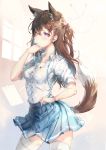  animal_ears icefurs tagme tail thighhighs 