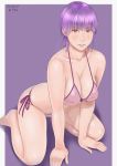  1girl ayane_(doa) bikini dead_or_alive highres purple_hair red_eyes solo swimsuit 