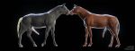  3d_(artwork) animal_genitalia animal_penis anthro balls digital_media_(artwork) equid equine equine_penis erection feral horse kissing love male male/male mammal misterstallion model muscular non penis romantic 