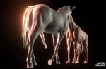  3d_(artwork) animal_genitalia animal_penis balls digital_media_(artwork) equid equine equine_penis erection feral horse invalid_tag kissing male male/male mammal misterstallion penis romantic sculpt sex turntable_(disambiguation) 