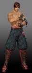  dead_or_alive dead_or_alive_6 male ninja ryu_hayabusa 