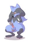  animal_genitalia animal_penis anus balls blush canine_penis erection handjob hi_res looking_pleasured male mammal moisty nintendo penis pok&eacute;mon pok&eacute;mon_(species) presenting riolu sex video_games 