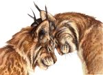  digital_media_(artwork) duo eyes_closed felid feline felis feral fur kenket lynx mammal pink_nose simple_background whiskers white_background 