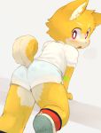  anthro canid canine clothed clothing cub footwear hi_res looking_back male mammal saru_gundan shirt shoes shorts solo translucent transparent_clothing underwear young 