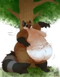  anthro arkveveen_(artist) belly belly_jiggle belly_overhang big_belly black_fur brown_fur claws eyes_closed fur hi_res male mammal moobs nude obese obese_male overweight overweight_male procyonid raccoon ringtail scratching smile solo sound_effects standing thick_thighs toe_claws tree white_fur 