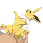  bestiality canid canine cum cum_in_pussy cum_inside duo eeveelution female feral hi_res human human_on_feral interspecies jolteon lying male male/female male_penetrating mammal missionary_position nintendo on_back penetration penis pok&eacute;mon pok&eacute;mon_(species) pok&eacute;philia pussy sex solo_focus vaginal vaginal_penetration video_games youjomodoki 