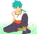 1boy blue_eyes blue_hair breath_of_fire breath_of_fire_iv closed_mouth commentary_request grass highres jewelry long_hair looking_at_viewer male_focus necklace ponytail ryuu_(breath_of_fire_iv) solo 