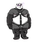  2017 4_toes anthro biceps blush chastity clothing collar fingerless_gloves giant_panda gloves harness hyenaface hypnosis male mammal mind_control nipples pecs simple_background solo spiral_eyes standing toes ursid white_background 
