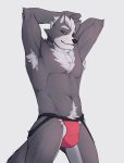 2019 anthro armpit_hair canid canine canis clothing eye_patch eyewear fetchmonkey fur grey_fur hi_res looking_at_viewer male mammal muscular muscular_male nintendo smile solo standing star_fox thong video_games wolf wolf_o&#039;donnell 