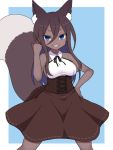  1girl animal_ears blue_eyes borrowed_character brown_hair corset dark_skin female grin hair_between_eyes haniwagi_(hal) long_hair original skirt smile solo tail wasabi_iii 