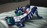  2018 abs animal_genitalia animal_penis anthro bed blue_eyes blue_fur blue_hair breasts canine_penis dickgirl eliana-asato erection fur hair intersex lying nude penis 