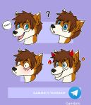  anthro blush canid canine confuse disembodied_head hair luvini male mammal meep multiple_images solo 