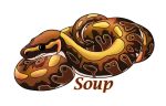  ball_python holyhell111 reptile scalie snake 