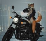  3d_(artwork) absurd_res anthro asenak_(artist) canid canine digital_media_(artwork) female fox hi_res humanoid mammal motorcycle pussy vehicle 